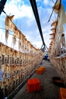 dailyPhoto34
